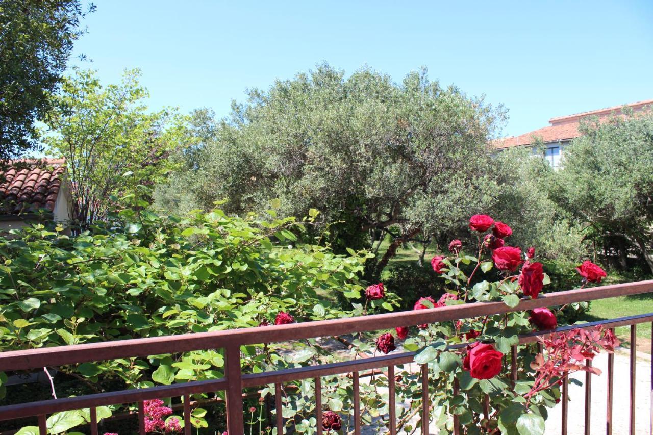 Pierre's Place Bibinje