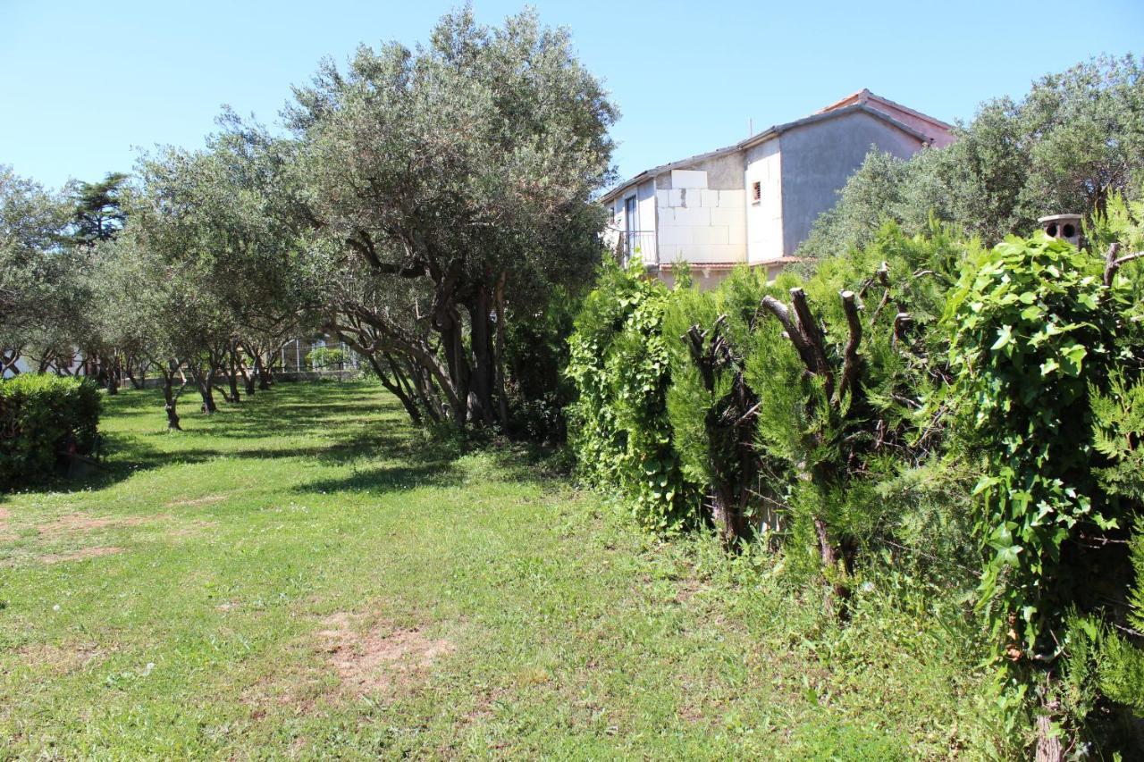 Pierre's Place